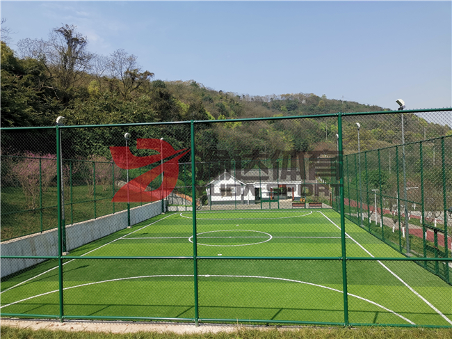 1592637536311464.jpg 12.jpg